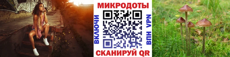 продажа наркотиков  KRAKEN tor  Галлюциногенные грибы Psilocybine cubensis  Пойковский 